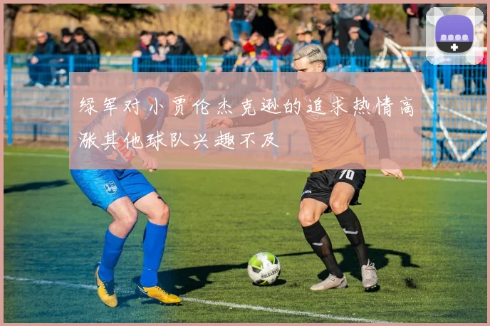 绿军对小贾伦杰克逊的追求热情高涨其他球队兴趣不及